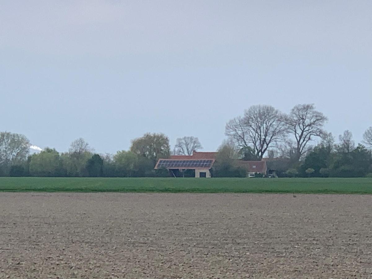 De Scheure, Charmant Vakantiehuisje Midden In De Natuur Alveringem Eksteriør billede